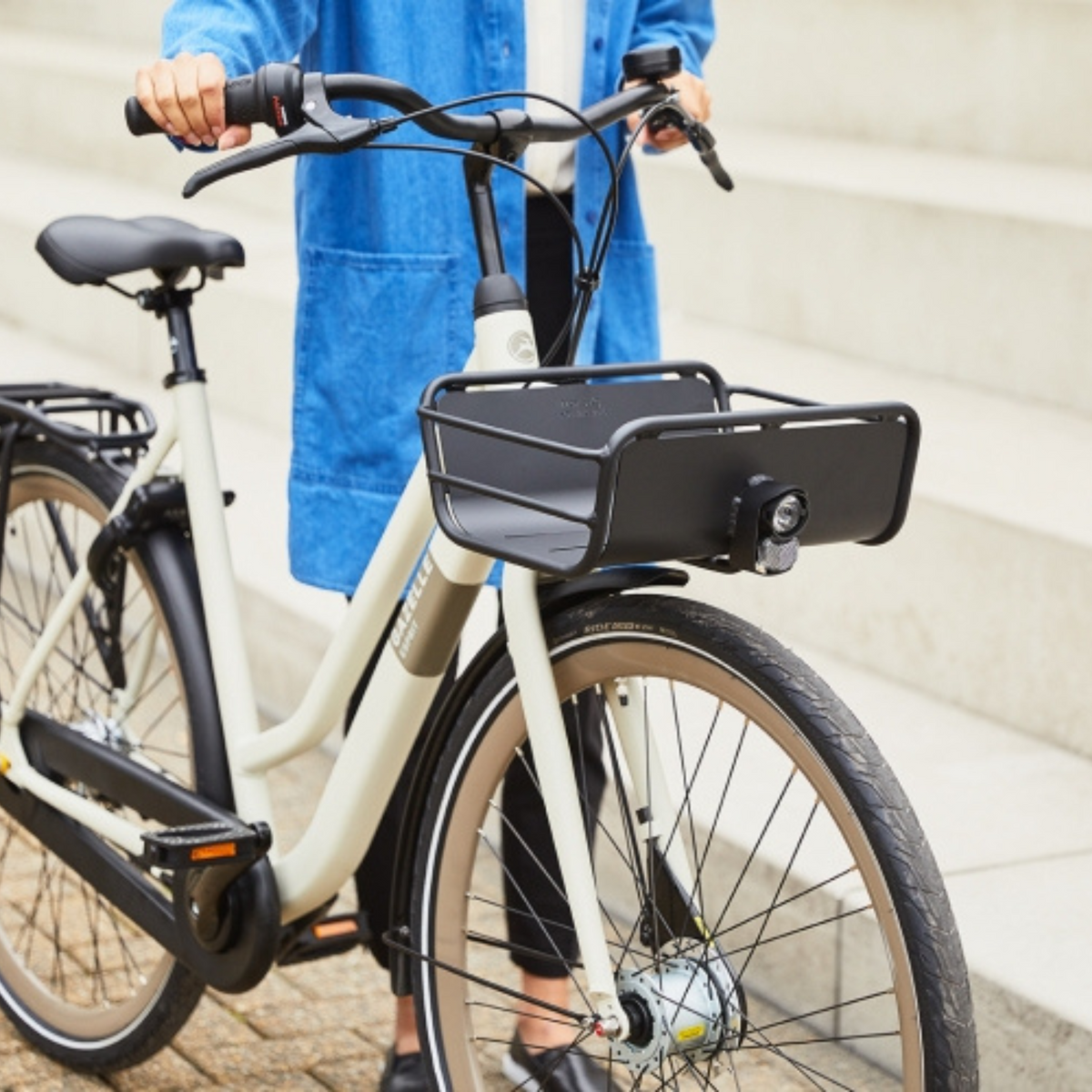 Gazelle Esprit Metal Front Carrier