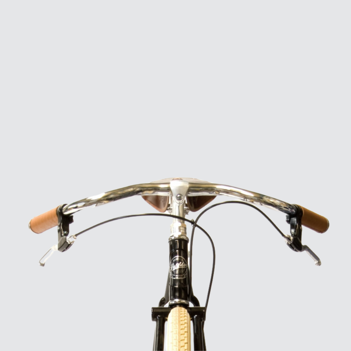 Pashley Guvnor