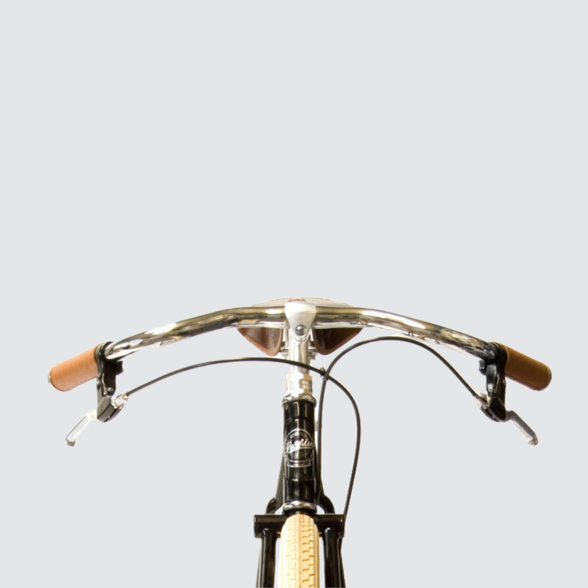 Pashley governor online