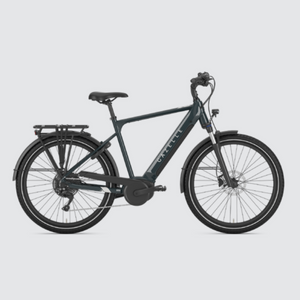 Open image in slideshow, Gazelle Medeo T10 HMB Electric Bike
