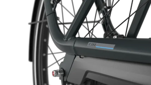 gazelle avignon c380 dutch electric bike ebike bosch active line motor