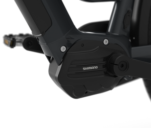Shimano E6100 Motor sitting mid-drive on frame- Lightweight and powerful, providing 60 Nm torque for conquering any terrain with ease on Gazelle Chamonix C7 HMS.