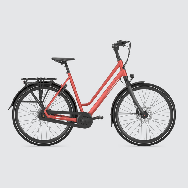 Gazelle orange vs chamonix discount