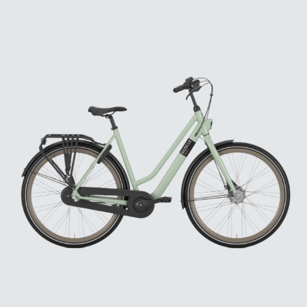 Gazelle esprit bike pistachio dutch bike 2023