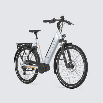 Frozen on sale electric bike