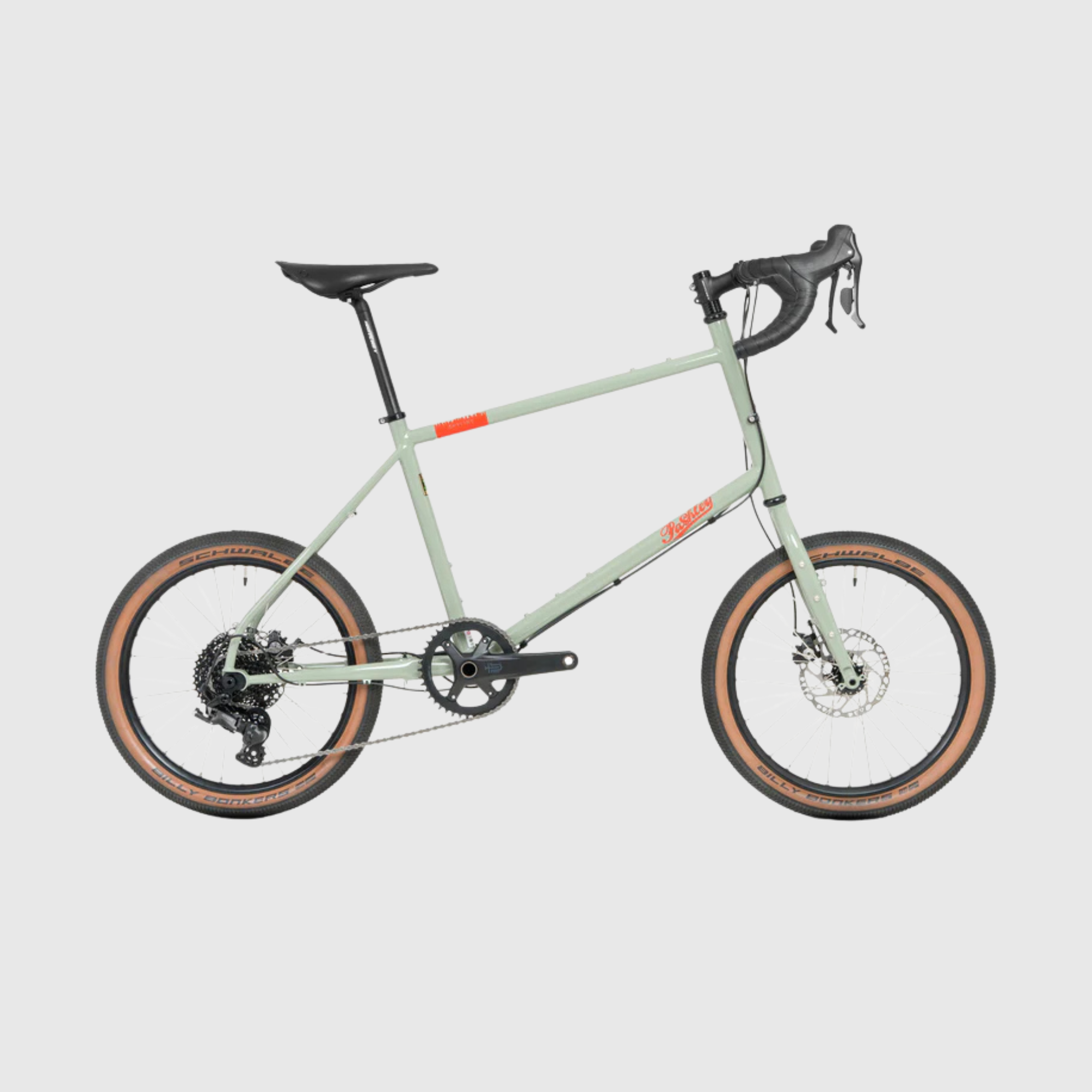 Light green bicycle with black components on a light gray background