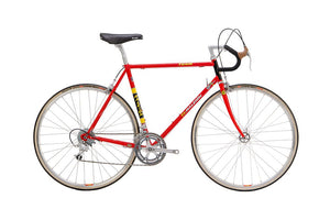 raleigh TI team replica racing bike bells bicycles