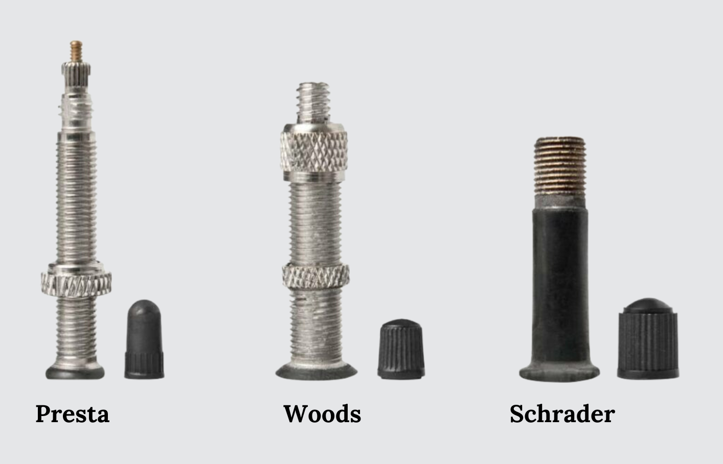 Gazelle Avignon Inner Tube Bell s Bicycles