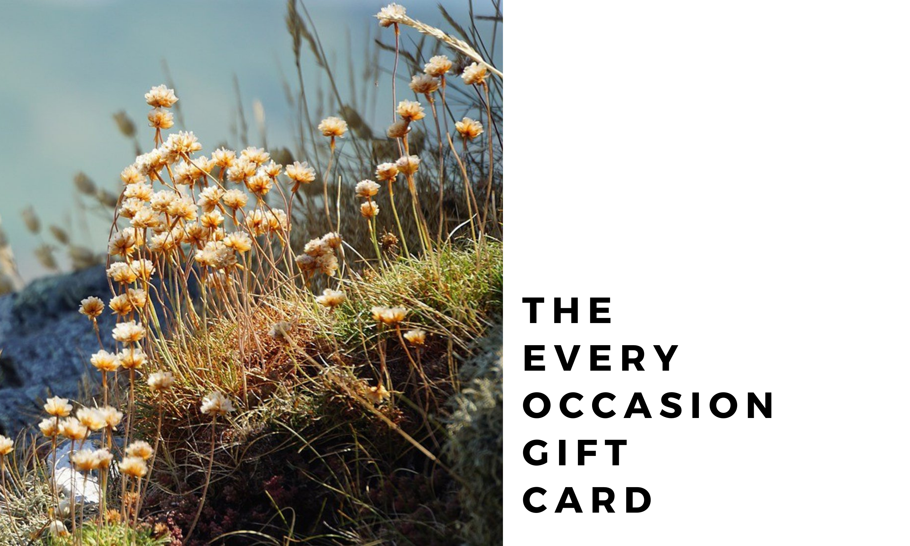 The Every Occasion Gift Card